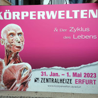 Vorschaubild zu 